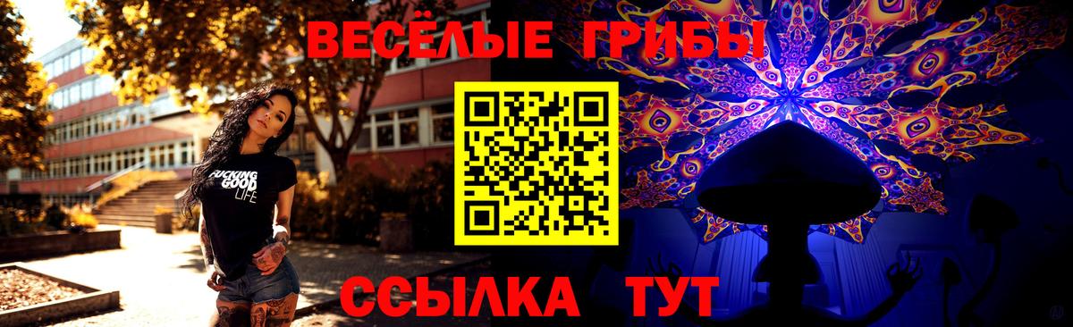 Псилоцибиновые грибы мухоморы  Псилоцибиновые грибы Psilocybine cubensis  Вход с VPN  Михайловск 